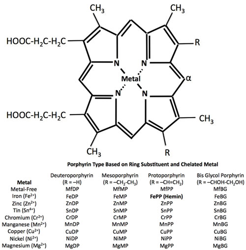 metalloporphyrin3